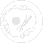 Icon sea 01.png